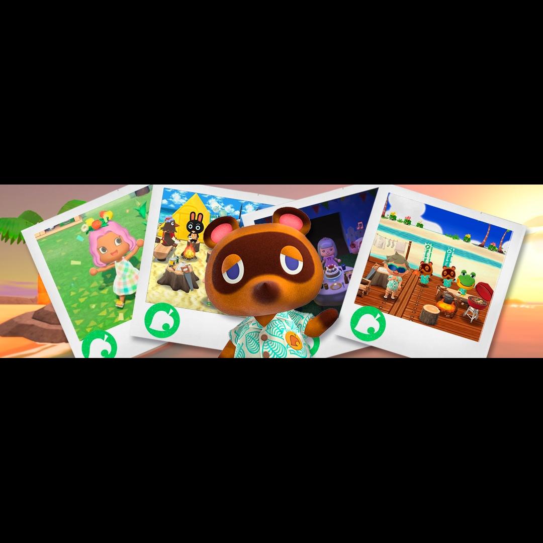 Lee más sobre el artículo Animal Crossing Record